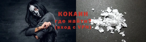 дживик Мегион