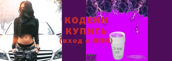 дживик Мегион