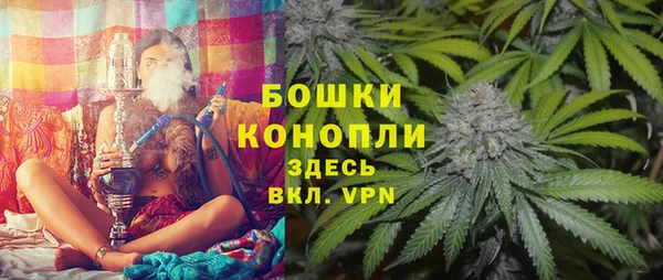 дживик Мегион