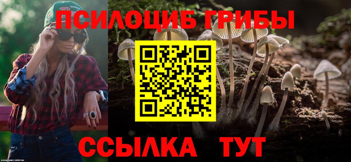 Псилоцибиновые грибы мицелий  Вход с VPN  Черногорск 