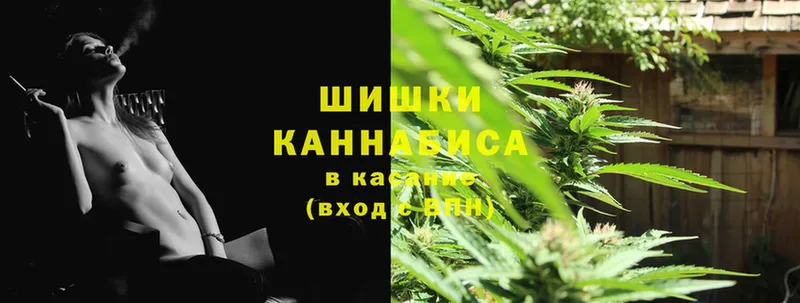 Бошки марихуана THC 21%  Черногорск 